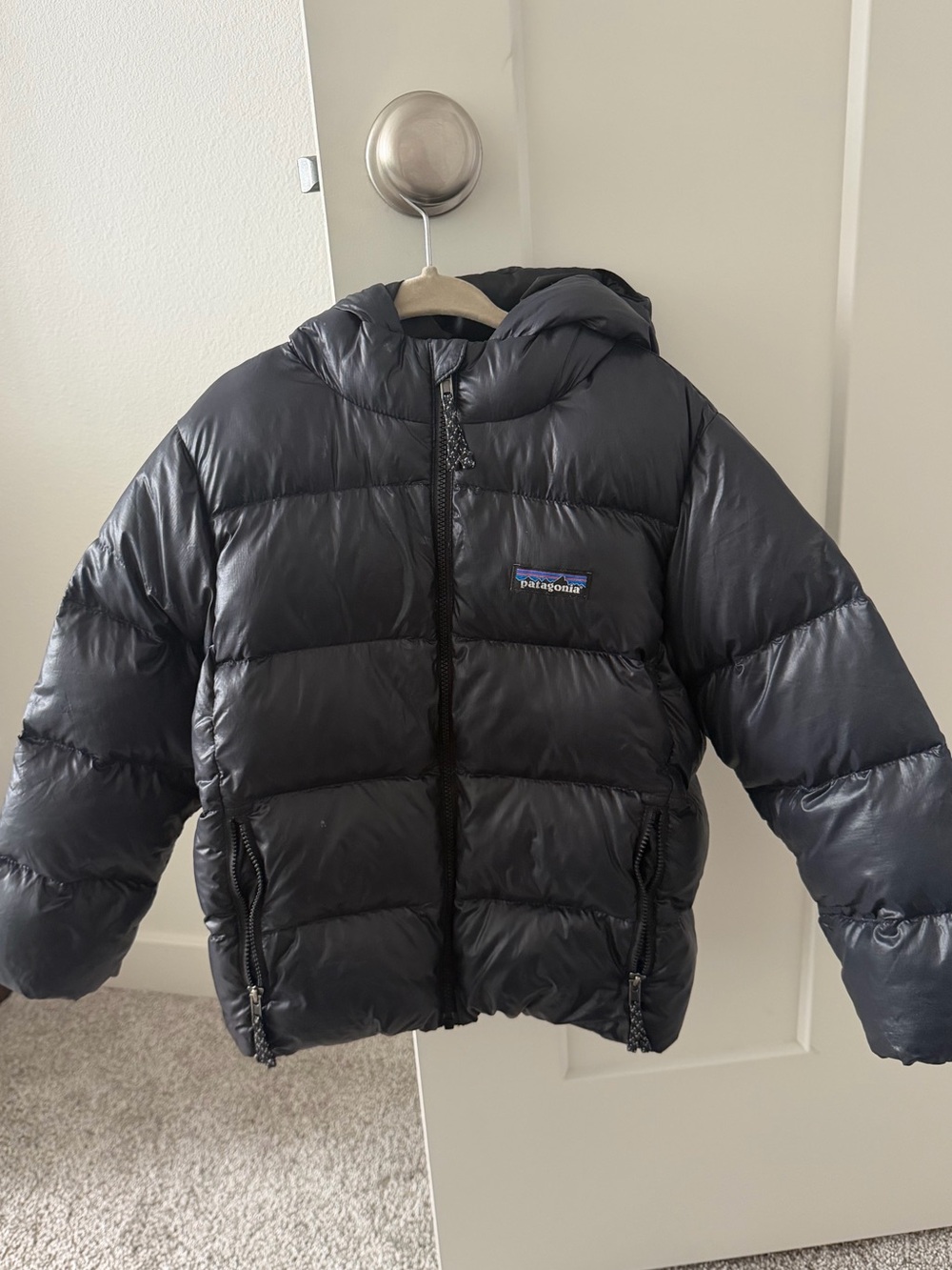 Patagonia Kids Black Hooded Puffer Jacket